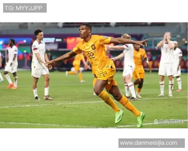 荷兰与墨西哥对决前瞻分析及预测结果展望