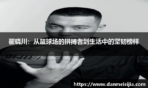彩神VI首页